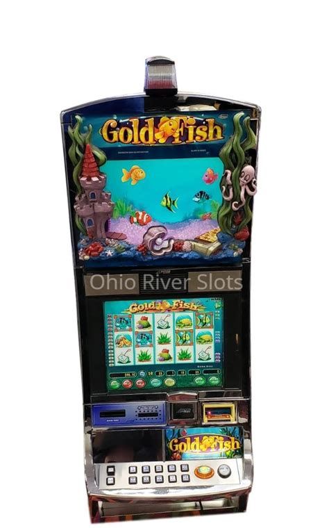 Gold Fish (Dual)